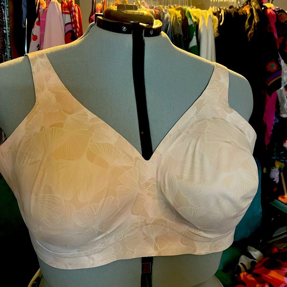 Evelyn and Bobbie plunge bra. Worn once and washed.